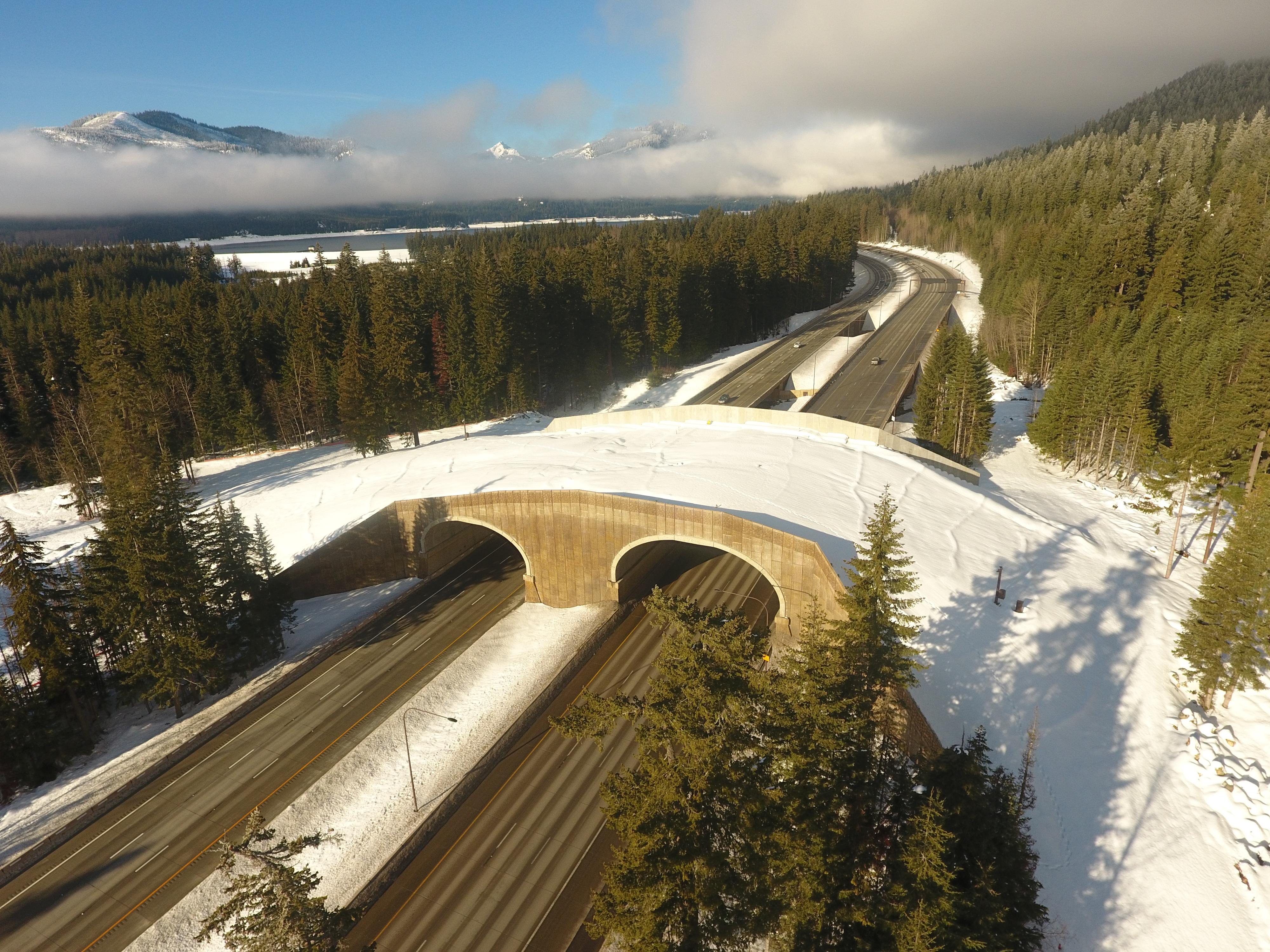 I-90 Keechelus Dam to Stampede Pass Phase 2A