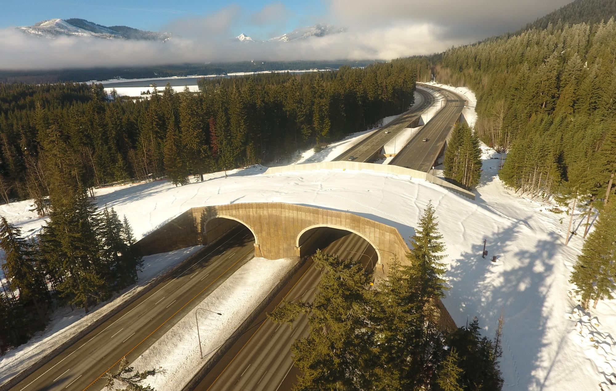 I-90 Keechelus Dam to Stampede Pass Phase 2A